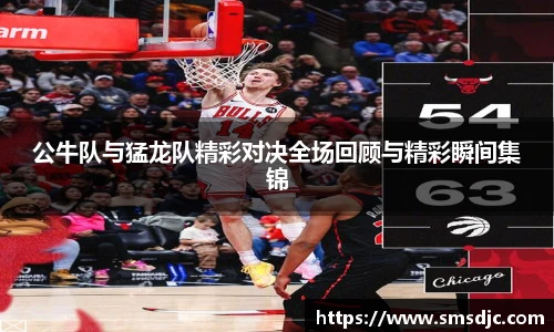 公牛队与猛龙队精彩对决全场回顾与精彩瞬间集锦