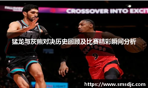 猛龙与灰熊对决历史回顾及比赛精彩瞬间分析